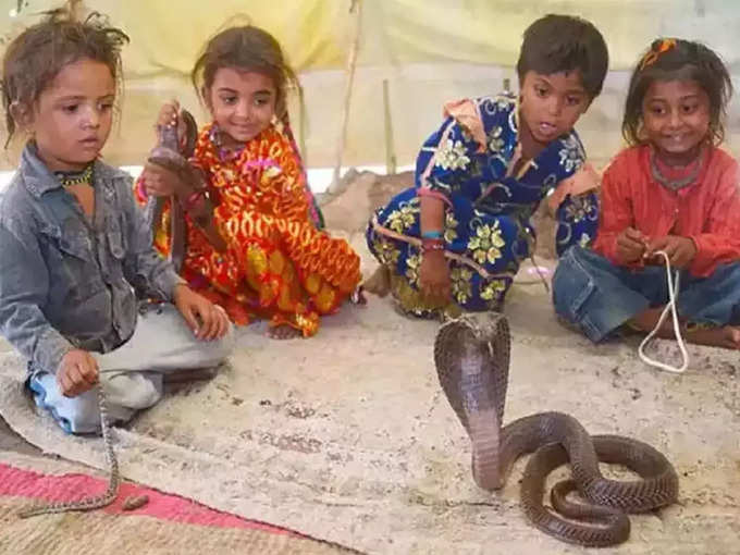 या गावात सापाशी खेळतात मुलं