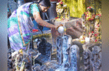Nag Panchami 2022: बेंगलुरु का वह मंदिर, जहां नाग देवता की होती है पूजा, देखें नाग पंचमी की तस्वीरें