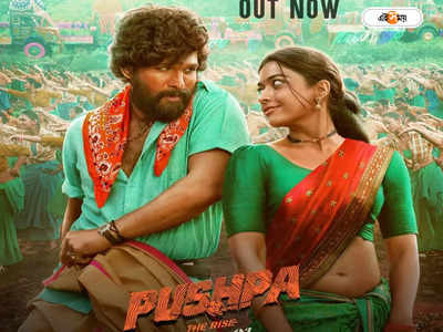 Pushpa: The Rule: ধর্মঘটের ডাক ইউনিয়নের, থমকে পুষ্পা ২-র শ্যুটিং