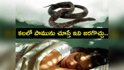 Dreams About Snakes : కలలో పాములు కనిపిస్తే ఇలా జరుగుతుందని తెలుసా...