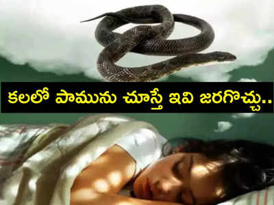 Dreams About Snakes : కలలో పాములు కనిపిస్తే ఇలా జరుగుతుందని తెలుసా...