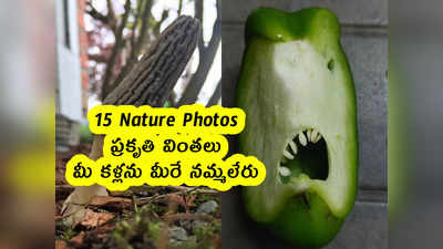 15 Nature Photos : ప్రకృతి వింతలు .. మీ కళ్లను మీరే నమ్మలేరు 