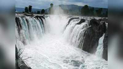 ஒகேனக்கல் காவிரி காட்டாற்று வெள்ளம்... ஆடிப்பெருக்கு நாளில் அலட்சியம் வேண்டாம்!