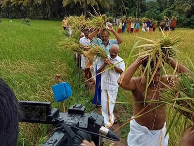 ശബരിമല നിറപുത്തരി ഉത്സവം 4 ന്: തീര്‍ഥാടകര്‍ ഇക്കാര്യങ്ങൾ ശ്രദ്ധിക്കണം, അതീവ ജാഗ്രതാ നിര്‍ദേശം