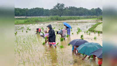 Bihar Weather Forecast : बिहार के कई जिलों में आज भी बारिश का अलर्ट, पटना में कैसा रहेगा मौसम जानिए