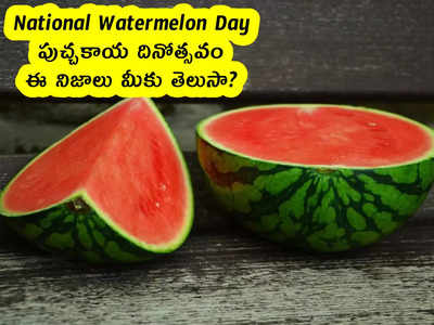 National Watermelon Day : పుచ్చకాయ దినోత్సవం.. ఈ నిజాలు మీకు తెలుసా?