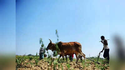 डीबीटी अनुदानाची प्रतीक्षाच;भंडारा जिल्ह्यातील १ लाख ३० हजार शेतकरी संभ्रमात