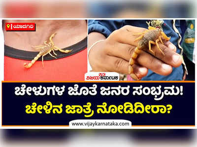 Yadgiri: ಯಾದಗಿರಿಯಲ್ಲಿ ನಾಗರ ಪಂಚಮಿ ಹಬ್ಬದ ದಿನ ಚೇಳುಗಳಿಗೆ ಪೂಜೆ! ಕಂದಕೂರಿನಲ್ಲಿ ಚೇಳುಗಳ ಜೊತೆ ಜನರ ಸಂಭ್ರಮ