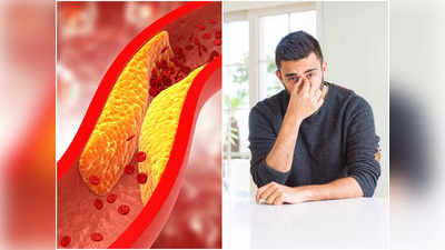 High Cholesterol Risk: মেদহীন মানুষের শরীরেও কি কোলেস্টেরল বেশি থাকা সম্ভব? জানুন চিকিৎসকের উত্তর