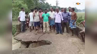 Paddy Farmer: বেহাল জল নিকাশি ব্য়বস্থা! চরম সমস্যায় চন্দ্রকোণার ধান চাষিরা