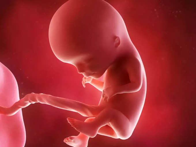 ​गर्भातील बाळाची हालचाल केव्हा जाणवते?
