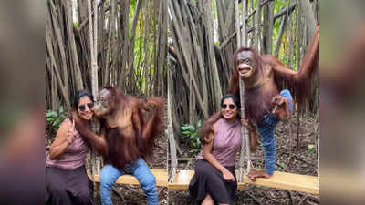 കെട്ടിപ്പിടിക്കും ഉമ്മ വയ്ക്കും ഓമനിക്കും; യുവതിയ്‌ക്കൊപ്പം ഫോട്ടോയ്ക്ക് പോസ് ചെയ്ത് ചിമ്പാന്‍സി വൈറലായി വീഡിയോ