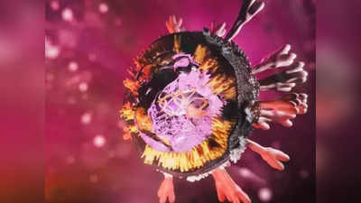 Marburg Virus: মাঙ্কিপক্সের পর এবার মারবার্গ! ঘানায় মারণ ভাইরাসের বলি ১ শিশু