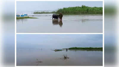 Bihar Flood: उत्तर बिहार में बाढ़ का कहर, चंपारण समेत 4 जिलों के निचले इलाकों में फैला पानी