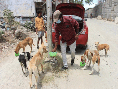 Noida News: क्या नोएडा में आवारा कुत्तों को अब खाना नहीं दे सकते? योगी सरकार का नया नियम क्या है, सबकुछ जानिए