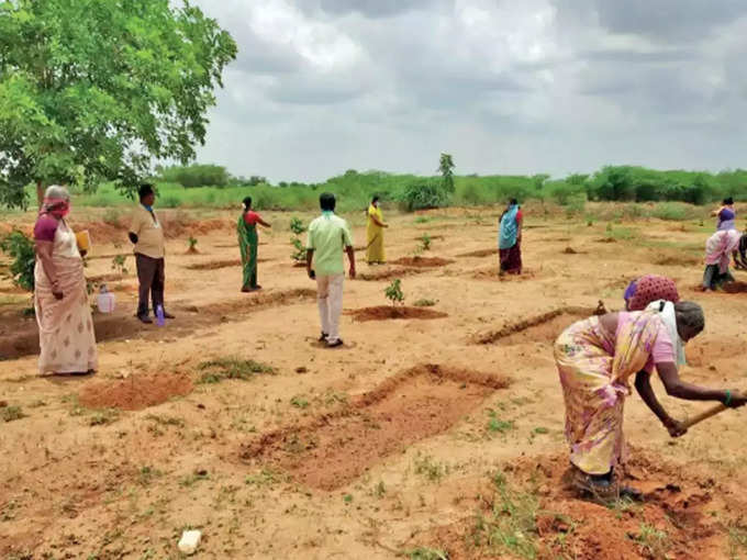 மாற்று ஏற்பாடுகள் அவசியம்