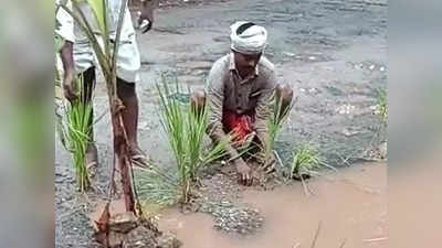 റോഡില്‍ ഓണ കൃഷിയിറക്കി; അധികാരികളുടെ കണ്ണ് തുറപ്പിക്കാൻ ഇതല്ലാതെ മറ്റ് വഴിയില്ലെന്ന് നാട്ടുകാർ