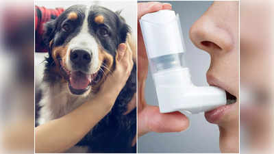 Asthma Triggers: এই ছোটখাট কারণেই অ্যাজমা অ্যাটাক নিয়েছে পিছু! জেনে সতর্ক হন