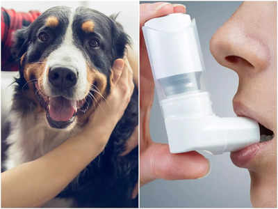 Asthma Triggers: এই ছোটখাট কারণেই অ্যাজমা অ্যাটাক নিয়েছে পিছু! জেনে সতর্ক হন