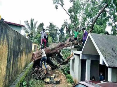 ಭಾರಿ ಮಳೆಗೆ 50 ಮನೆಗೆ ಹಾನಿ: ಹುಣಸೂರು ತಾಲೂಕಿನ ಹಲವೆಡೆ ಬೆಳೆ ನಷ್ಟ, ರೈತರಿಗೆ ಸಂಕಷ್ಟ!