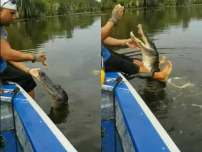 Crocodile Friend Video : వామ్మో.. ఇది విన్నారా.. మొసలిని పెంచుకుంటున్నాడు