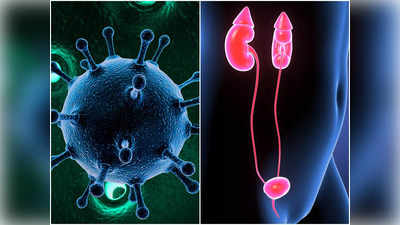 Coronavirus: বারবার করোনা হলেও পাত্তা দিচ্ছেন না? অজান্তেই শরীরে বাসা বাঁধছে গুরুতর জটিলতা