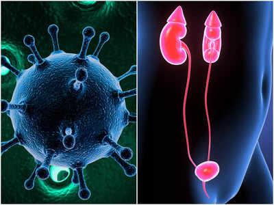 Coronavirus: বারবার করোনা হলেও পাত্তা দিচ্ছেন না? অজান্তেই শরীরে বাসা বাঁধছে গুরুতর জটিলতা