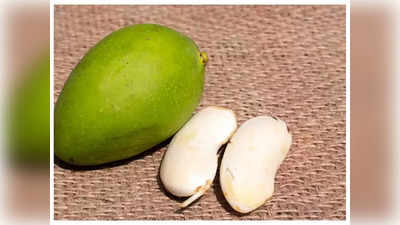 mango seeds : மாங்கொட்டை உடலுக்கும் கூந்தலுக்கும் சருமத்துக்கும் செய்யும் அற்புதங்கள்.. என்னென்ன தெரியுமா?