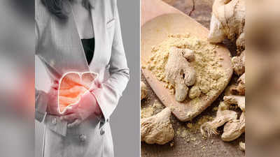 Gut Health Ayurveda: বমি-বমি ভাব বা বদহজমের সমস্যায় ভুগছেন, অন্ত্রের স্বাস্থ্য ঠিক আছে তো?