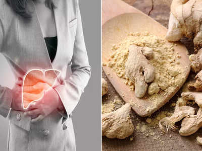 Gut Health Ayurveda: বমি-বমি ভাব বা বদহজমের সমস্যায় ভুগছেন, অন্ত্রের স্বাস্থ্য ঠিক আছে তো?