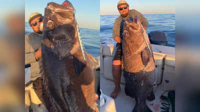 Giant Sea Creature : मछुआरे के कांटे में फंसा 80 किलो का समुद्री दैत्य, शेखी बघारने के लिए पोस्ट की फोटो, लोगों ने सुनाई खरी-खोटी