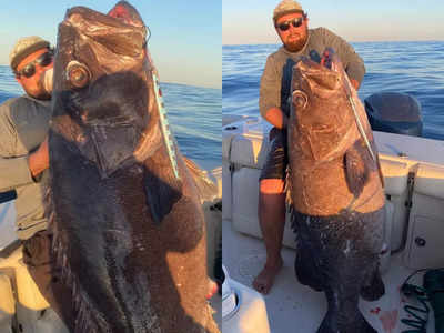 Giant Sea Creature : मछुआरे के कांटे में फंसा 80 किलो का समुद्री दैत्य, शेखी बघारने के लिए पोस्ट की फोटो, लोगों ने सुनाई खरी-खोटी