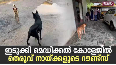 ഇടുക്കി മെഡിക്കൽ കോളേജിൽ  തെരുവ് നായ്ക്കളുടെ റൗണ്ട്സ്