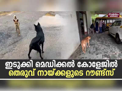 ഇടുക്കി മെഡിക്കൽ കോളേജിൽ  തെരുവ് നായ്ക്കളുടെ റൗണ്ട്സ്