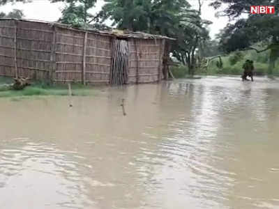 Bihar Flood: बेतिया के तराई इलाकों में घुसा गंडक नदी का पानी, गांव से लोगों का पलायन शुरू