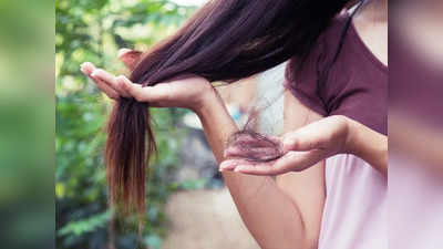 Hair Fall: বর্ষাকালে চুল উঠে উঠে টাক পড়ে যাচ্ছে? এই ঘরোয়া টোটকায় মাথা ভর্তি কালো চুল ফিরে পান মাত্র ১ মাসেই!