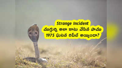 Strange Incident : ముగ్గుర్ని అలా కాటు వేసిన పాము .. 1975 ఘటన రిపీట్ అయ్యిందా? 