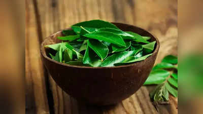 curry leaves : தினமும் 5 கறிவேப்பிலையை மென்னு சாப்பிடுங்க.. உடம்புல இந்த அற்புதமெல்லாம் நடக்கும்!