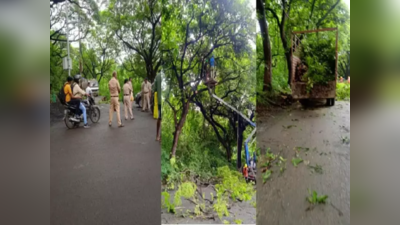 तोपर्यंत आरेतील एकही झाड तोडू नये; सर्वोच्च न्यायालयाचा शिंदे सरकारला दणका