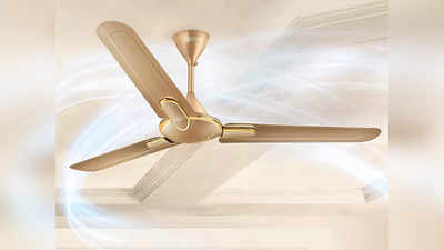 इस गर्मी की कमर तोड़ देंगे ये Ceiling Fan, सस्ती कीमत में देंगे फर्राटा फैन जैसी हवा, बिजली का बिल भी आएगा कम