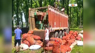 Jalpaiguri News: আদার বস্তার আড়ালে ২০ লাখ টাকার কাঠ! কাণ্ড দেখে চোখ কপালে বনদফতরের