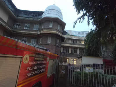 मुंबईत वाडिया हॉस्पिटलमध्ये मुलांच्या वॉर्डजवळ लागली आग, रुग्णांना सुरक्षित ठिकाणी हलवले 