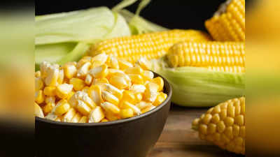 Corn Nutritional Benefits :ટેસ્ટી મકાઇ જોઇ મોંમાં આવી જાય છે પાણી? ન્યૂટ્રિશનિસ્ટે જણાવેલી રીતે ખાવાથી થશે ડબલ સ્વાસ્થ્ય ફાયદા