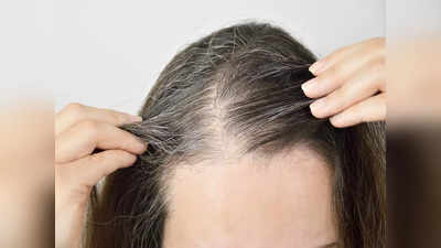 Plucking Gray Hair: একটা পাকা চুল টেনে তুললেই নাকি ১০টা নতুন গজিয়ে যায়! সত্যিই কি তাই?