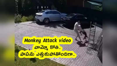 Monkey Attack video : వామ్మో కోతి.. పాపను ఎత్తుకుపోతోందిగా.. 