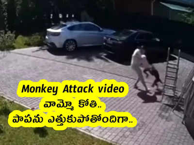 Monkey Attack video : వామ్మో కోతి.. పాపను ఎత్తుకుపోతోందిగా..