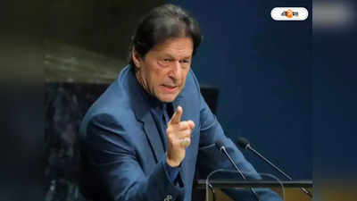 Imran Khan: উপনির্বাচনে ৯টি আসনে একাই লড়বেন প্রাক্তন পাক প্রধানমন্ত্রী