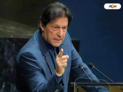 Imran Khan: উপনির্বাচনে ৯টি আসনে একাই লড়বেন প্রাক্তন পাক প্রধানমন্ত্রী