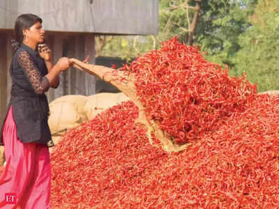 महागाईच्या भडक्यात मिरचीचा ठसका; दरामध्ये झाली मोठी वाढ