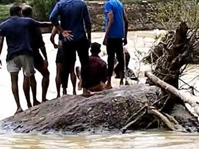 കല്ലടയാറ്റിൽ അതിശക്തമായ ഒഴുക്കിൽപ്പെട്ട് 65കാരി; പാറയിൽ പിടിച്ചുകിടന്നു, സതിയമ്മക്കിത് രണ്ടാം ജന്മം, വീഡിയോ കാണാം